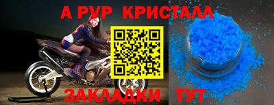 шишки Кингисепп
