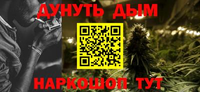 шишки Кингисепп
