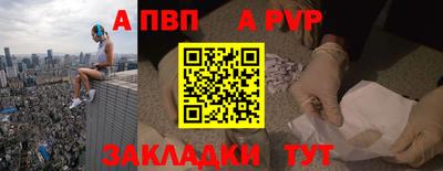 шишки Кингисепп