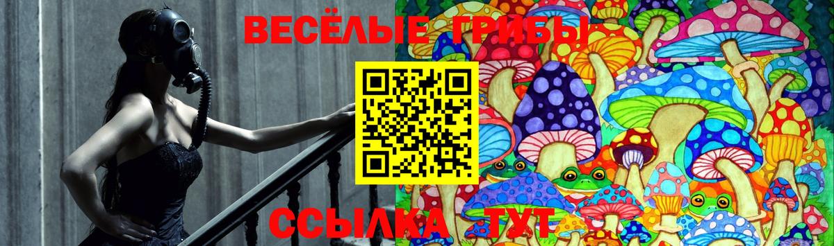 Галлюциногенные грибы MAGIC MUSHROOMS  Вход с VPN  Псилоцибиновые грибы MAGIC MUSHROOMS  Чита 