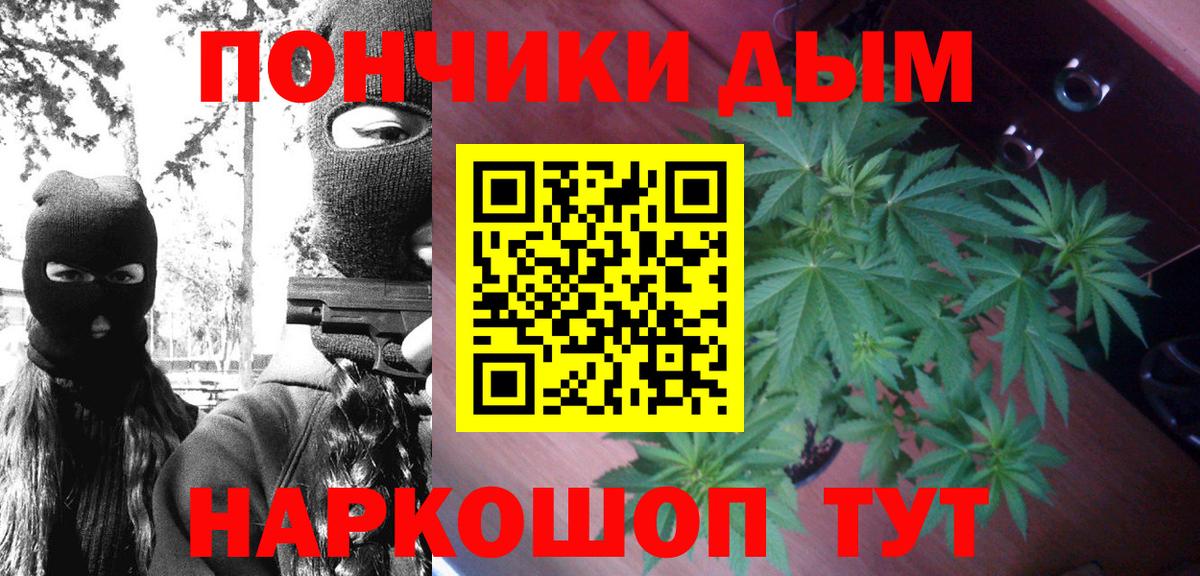 Шишки марихуана семена  Шишки марихуана ГИДРОПОН  Канабис SATIVA & INDICA  Марихуана гибрид  Чита  Вход с VPN 